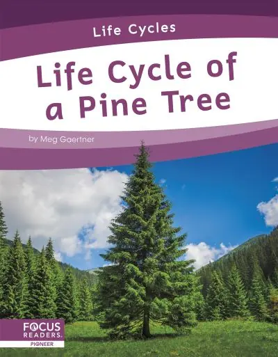 Life Cycle of a Pine Tree Flash Sale