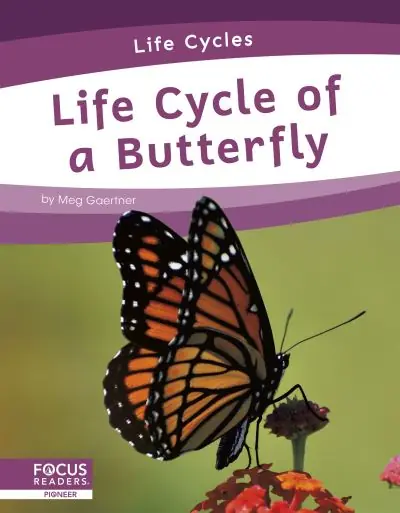 Must Have Life Cycle of a Butterfly