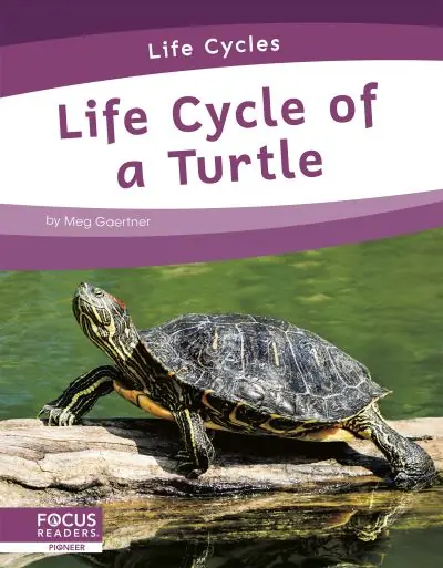 Genuine Life Cycle of a Turtle