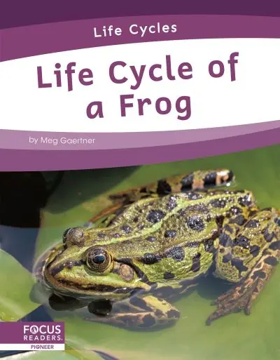 Budget Life Cycle of a Frog