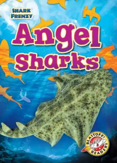 Angel Sharks Clearance