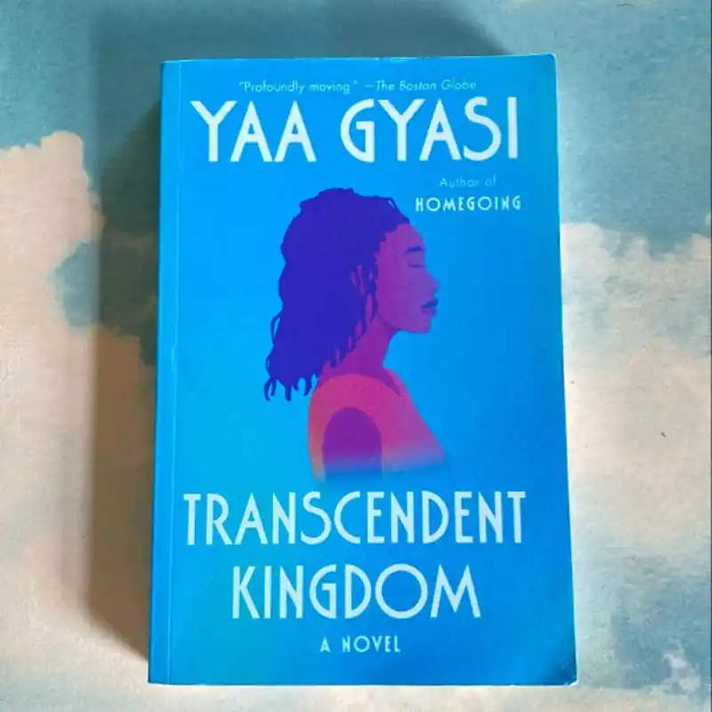 Final Sale Recently Viewed - Yaa Gyasi