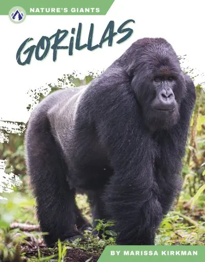 Shop Now Gorillas