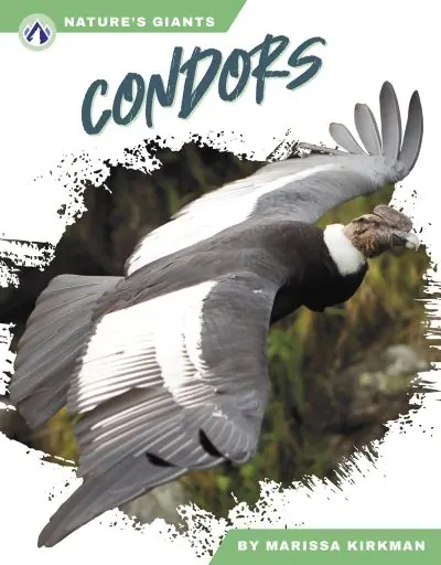 Warranty Included Condors