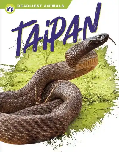 Place Order Taipan