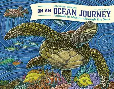 Next Day Delivery On An Ocean Journey