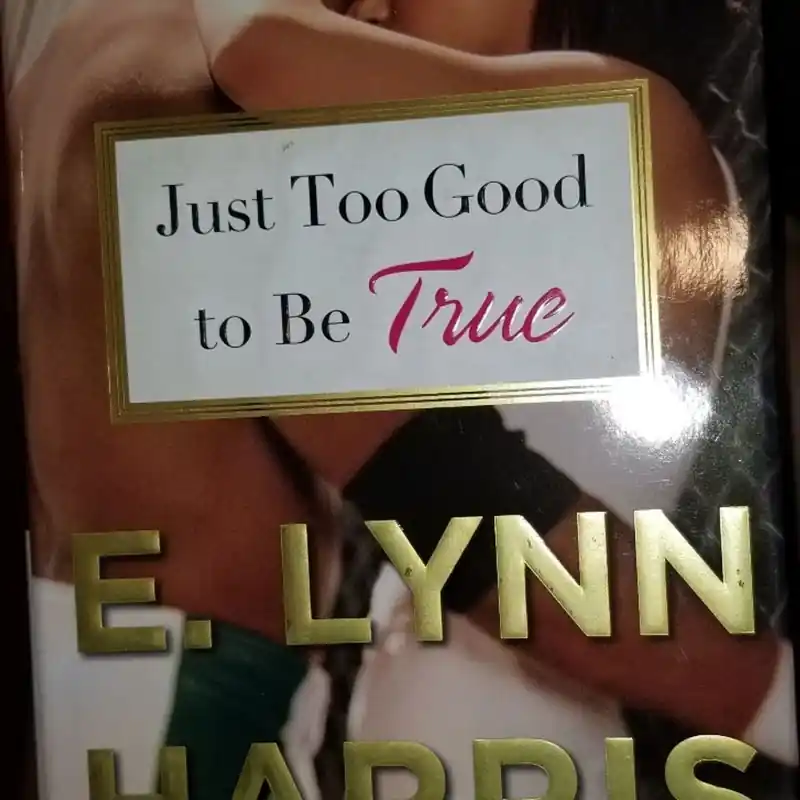 Certified Just Too Good to Be True - E. Lynn Harris