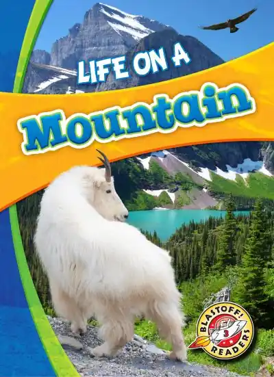 Life on a Mountain Don’t Miss Out