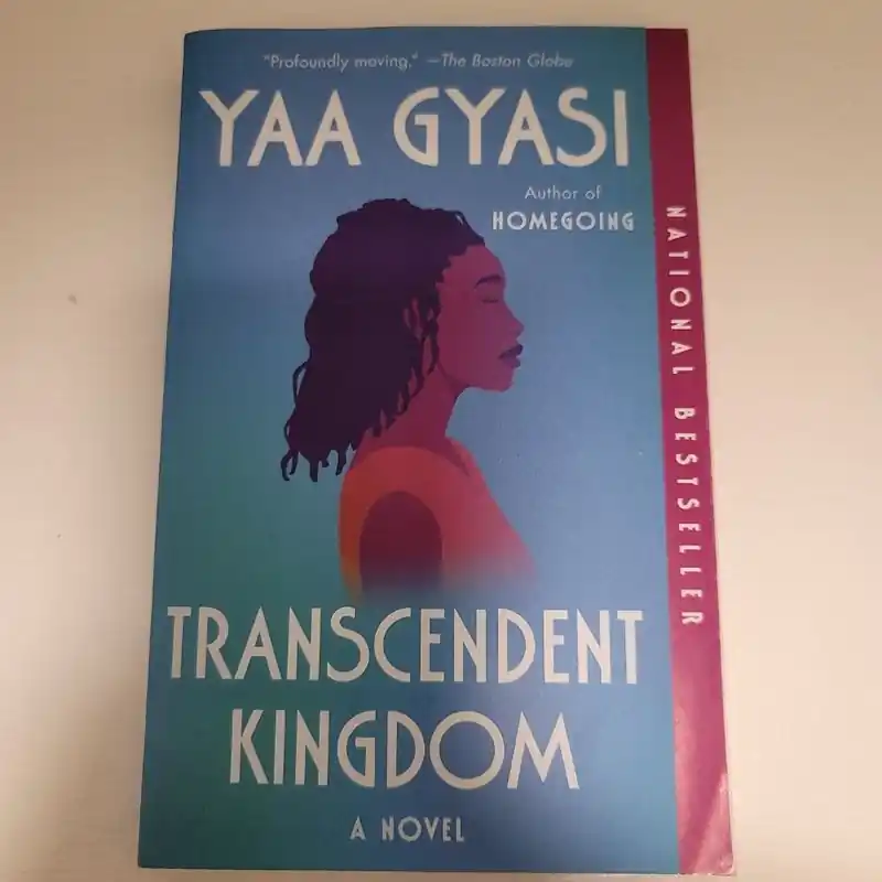 Limited Offer Recently Viewed - Yaa Gyasi