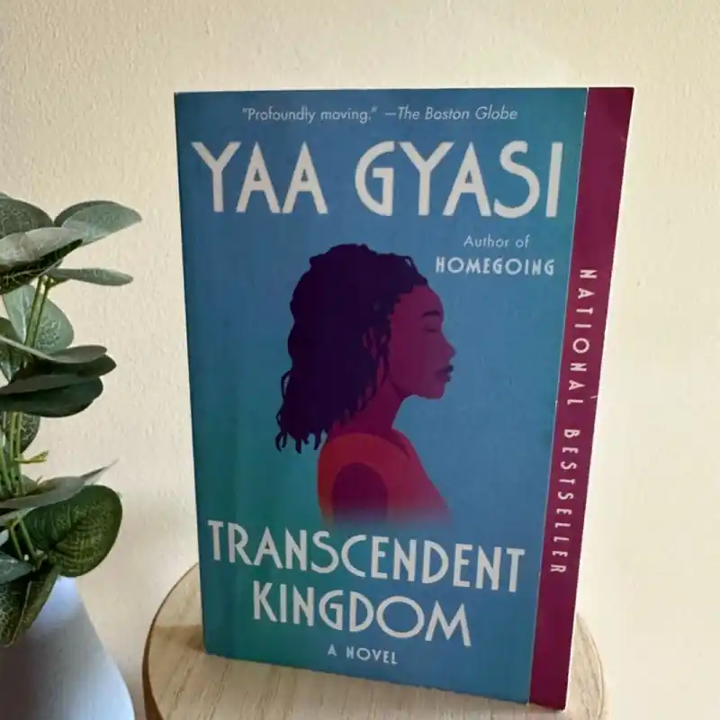 Recently Viewed - Yaa Gyasi Modern