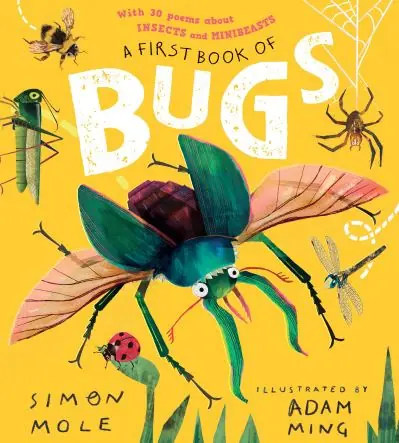 A First Book of Bugs Reduced Price