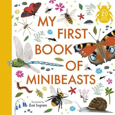 My First Book of Minibeasts Next Day Delivery