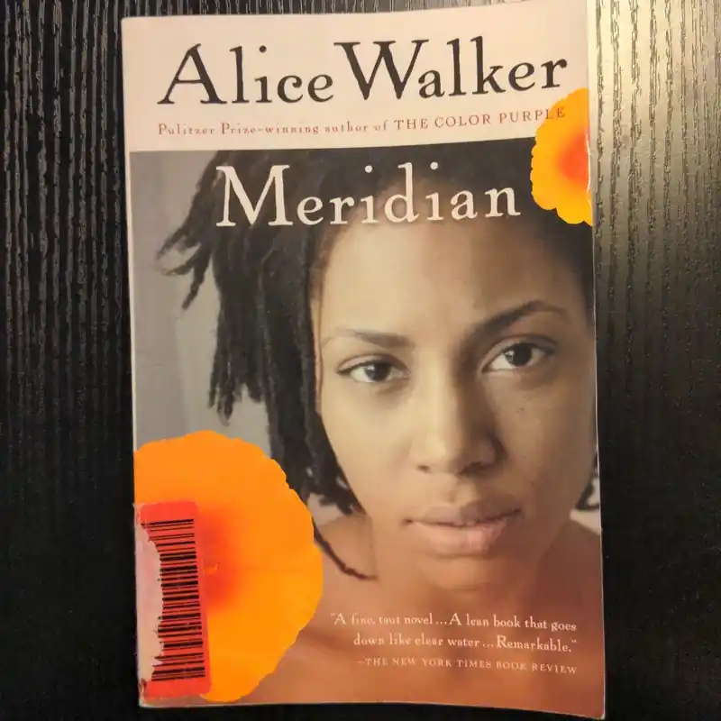 Cheap Meridian - Alice Walker