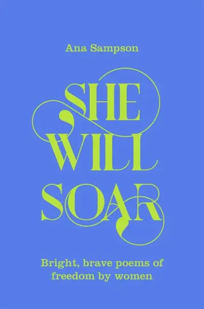 Price Drop She Will Soar