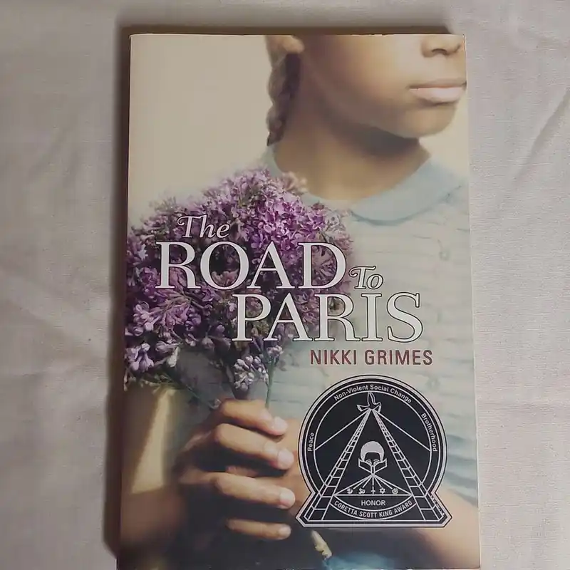 Last Chance The Road to Paris - Nikki Grimes
