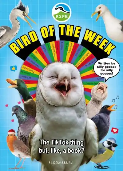 Save Now Bird of the Week