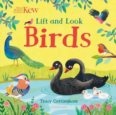 Birds New Release