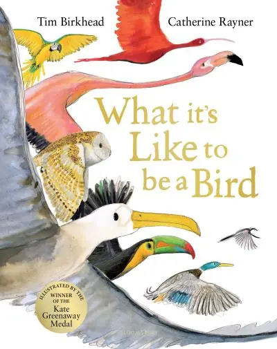 Special Discount What It's Like To Be a Bird