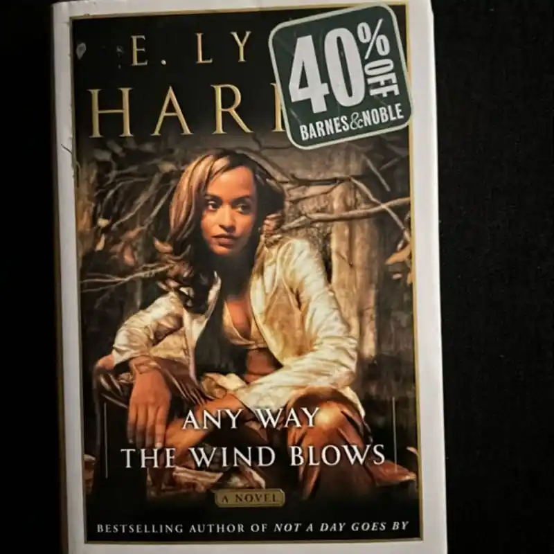 Bargain Any Way the Wind Blows - E. Lynn Harris
