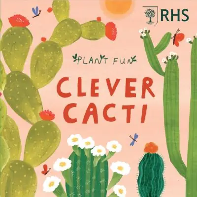 Affordable Clever Cacti