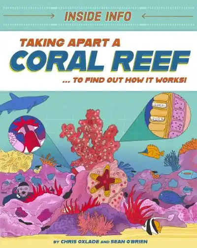 Must Have Taking Apart a Coral Reef
