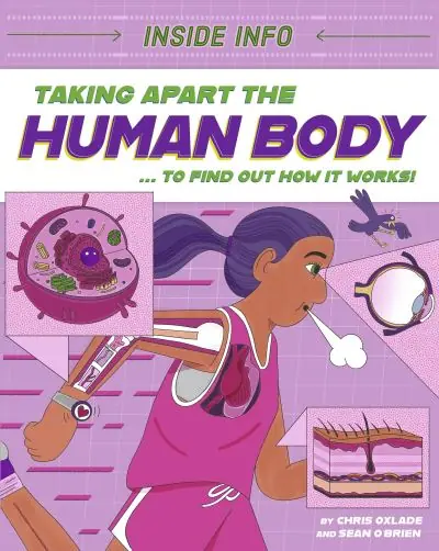 Buy Direct Taking Apart the Human Body