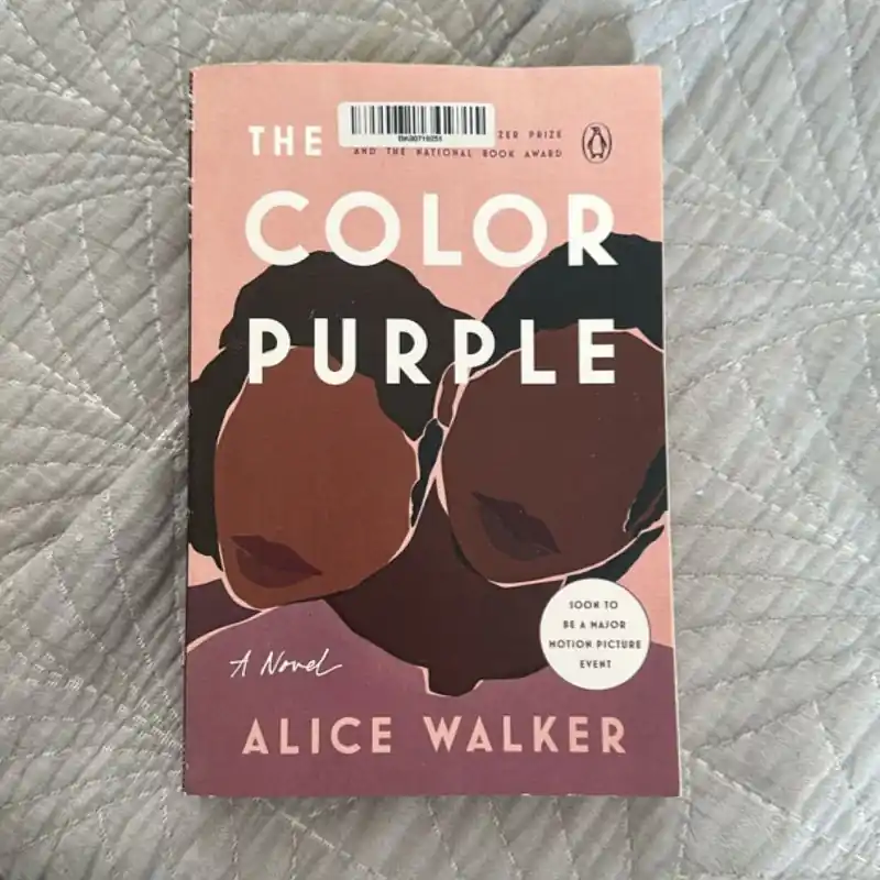 Affordable The Color Purple - Alice Walker