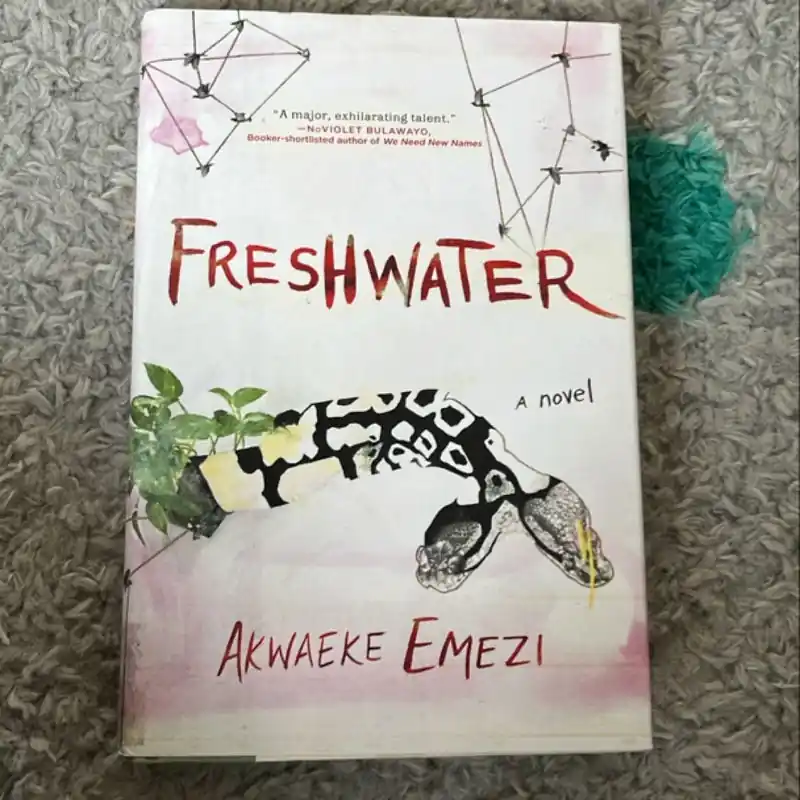 Bulk Order Recently Viewed - Akwaeke Emezi