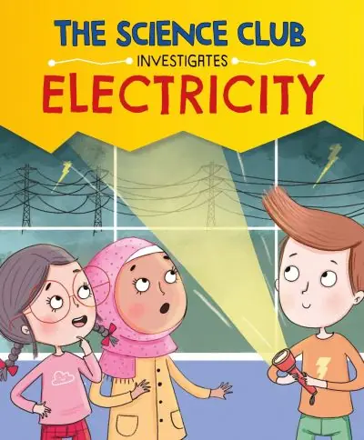 Electricity Budget