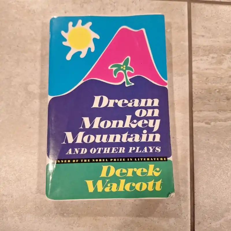 Last Chance Recently Viewed - Derek Walcott