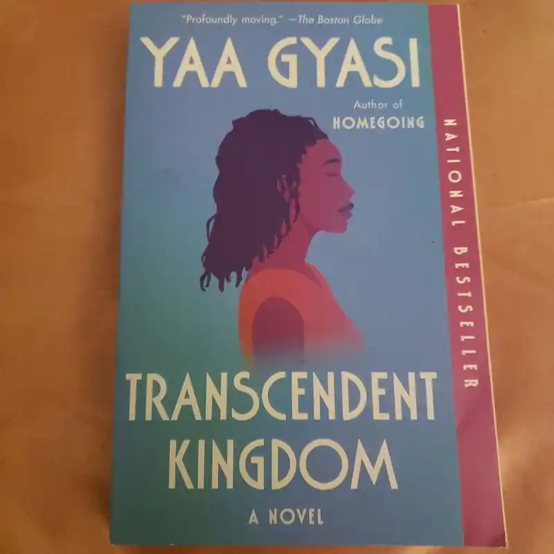 Recently Viewed - Yaa Gyasi Fresh Stock