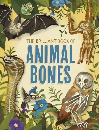 The Brilliant Book of Animal Bones Modern
