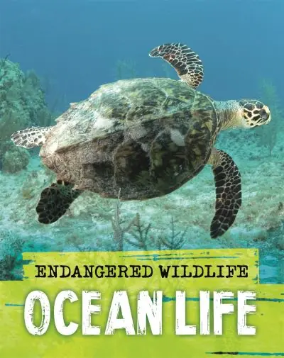 Same Day Shipping Ocean Life