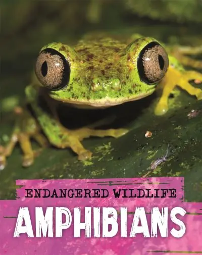 Amphibians Don’t Miss Out