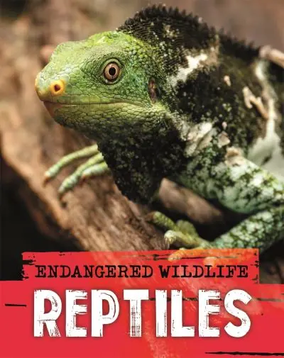 New Arrival Reptiles