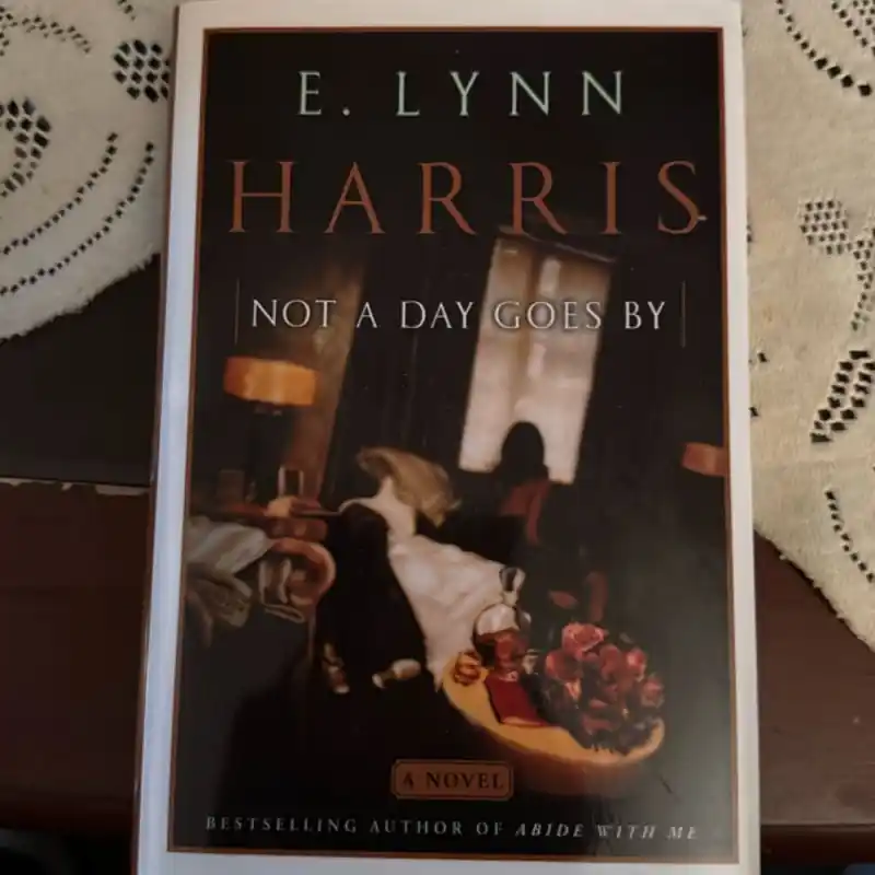 Final Sale Not a Day Goes By - E. Lynn Harris