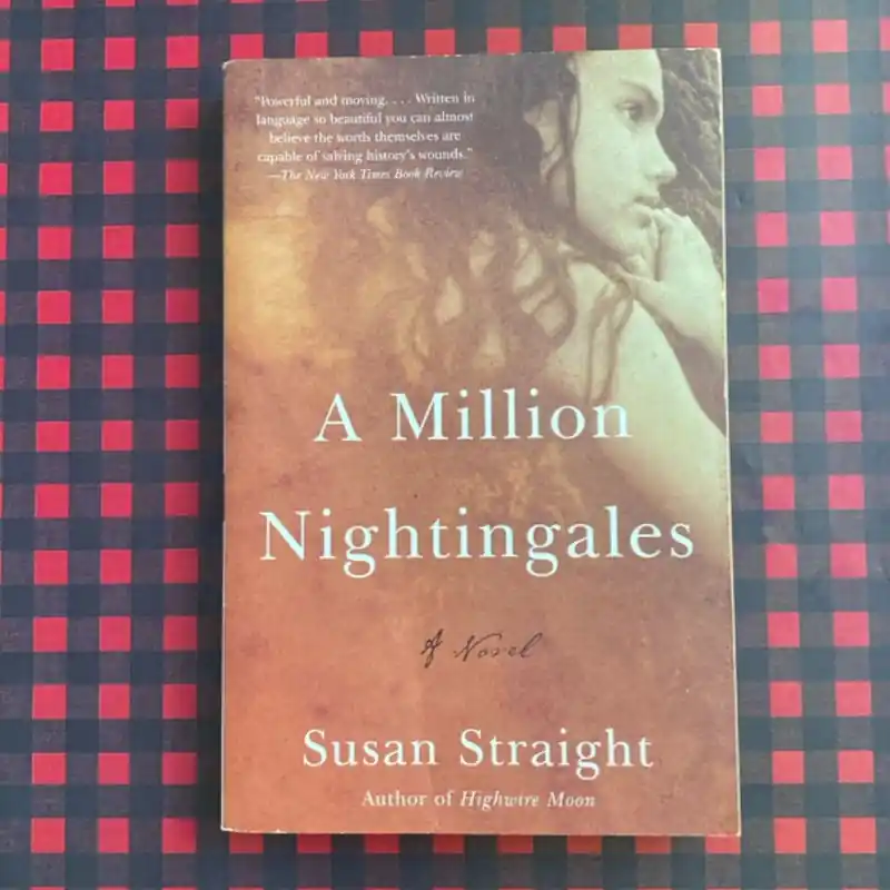 Recently Viewed - Susan Straight Super Sale