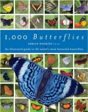 1000 Butterflies Money Back Guarantee