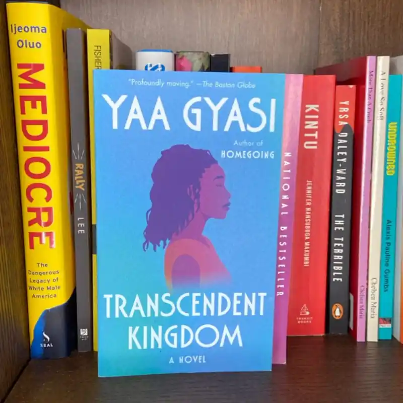 Recently Viewed - Yaa Gyasi Factory Price