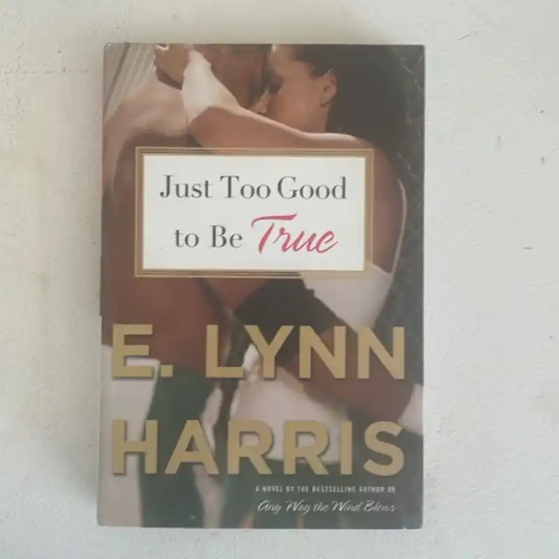 Editor’s Pick Just Too Good to Be True - E. Lynn Harris