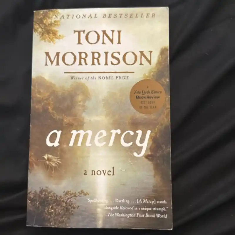 A Mercy - Toni Morrison Popular