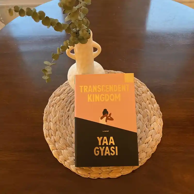 Grab Now Transcendent Kingdom - Yaa Gyasi