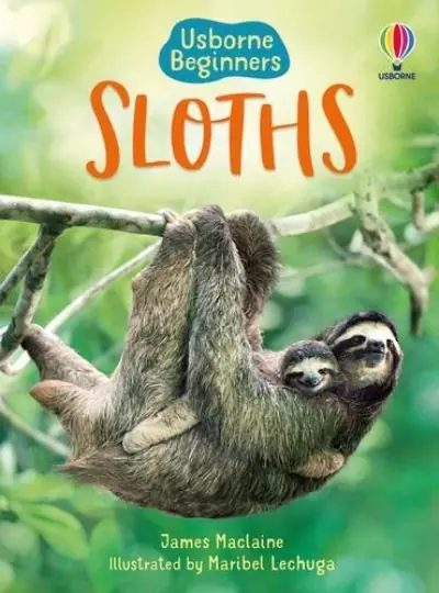 Hot Deal Sloths