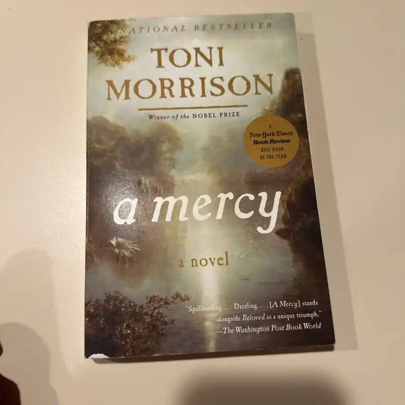 A Mercy - Toni Morrison Bargain