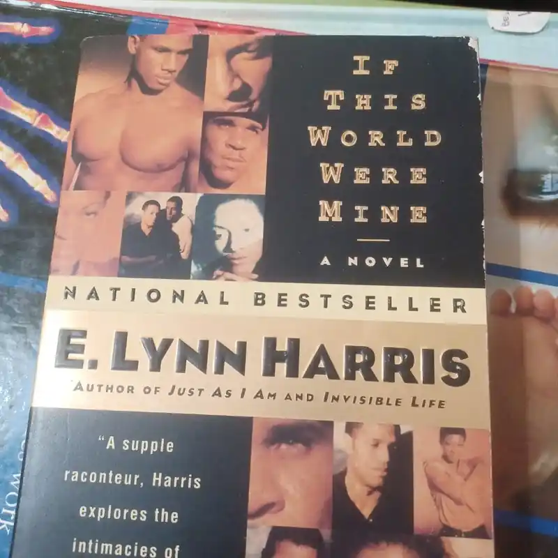 Flash Sale Recently Viewed - E. Lynn Harris