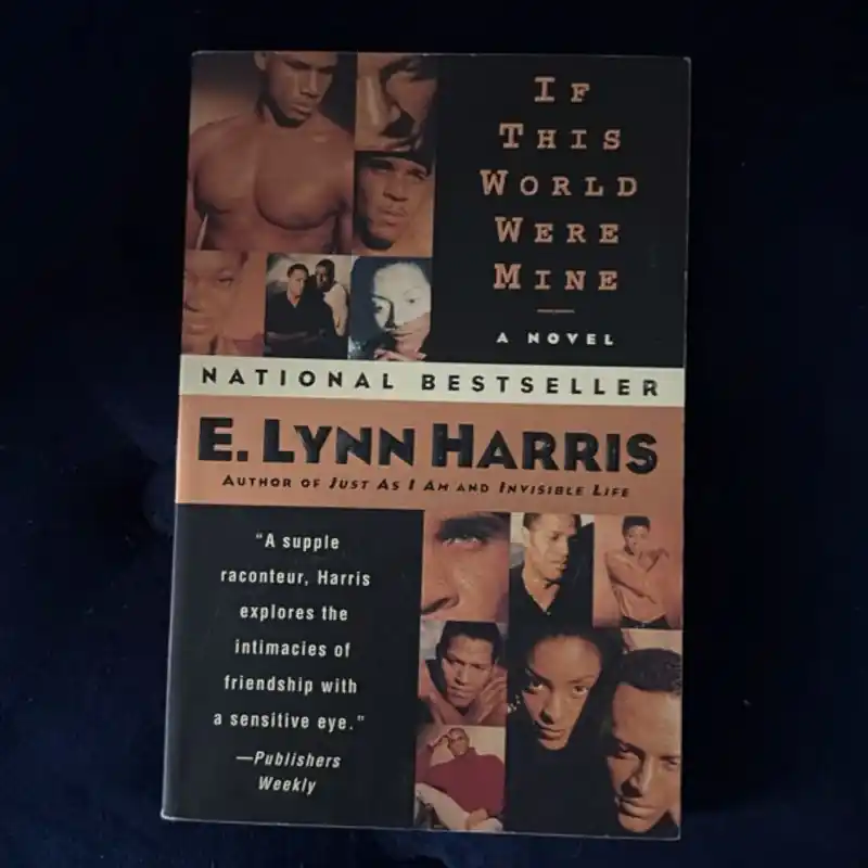 Premium Recently Viewed - E. Lynn Harris