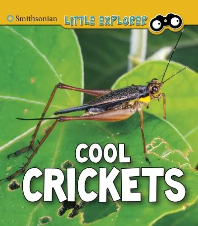 Cool Crickets Limited Offer