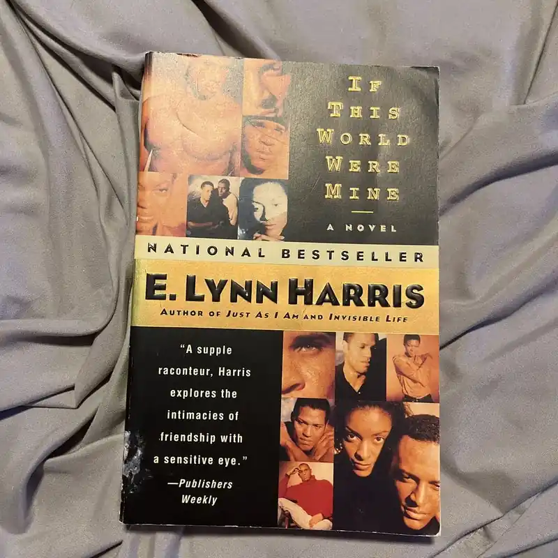 Handmade Recently Viewed - E. Lynn Harris
