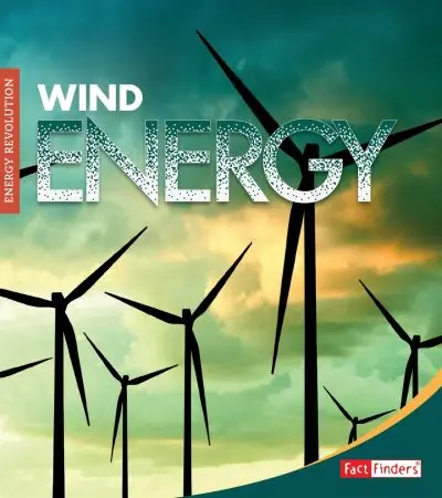Wind Energy Big Sale
