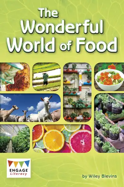 Best Price The Wonderful World of Food